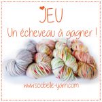 Soobelle Yarn – Petit jeu pour gagner des laines !