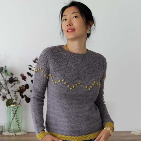 patron-tricot-pull-femme-cassiopee-4