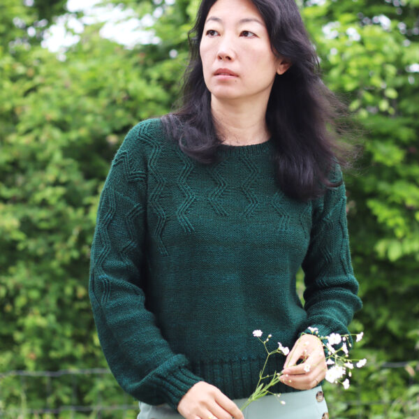 patron-tricot-femme-imas